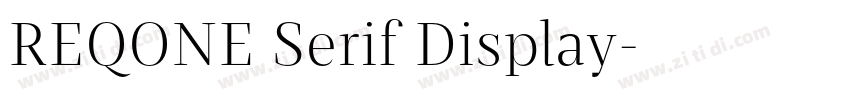 REQONE Serif Display字体转换 REQONE Serif Display字体转换